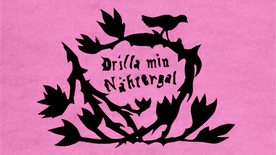 DRILLA MIN NÄKTERGAL